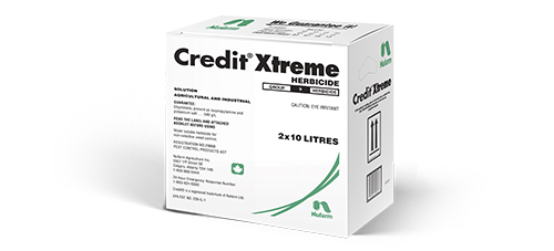 Credit Xtreme