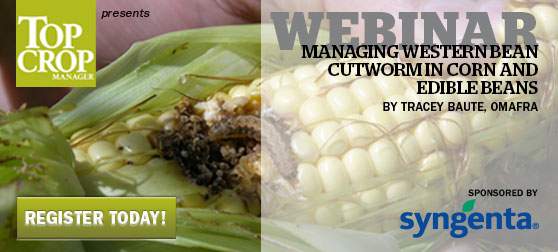 <center>Managing Western Bean Cutworm in Corn and Edible Beans</center>