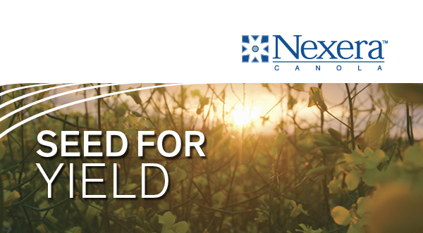 Grow Seed for Yield with NEW Nexera Canola Hybrids