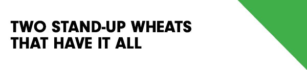 Two stand-up wheats that have it all