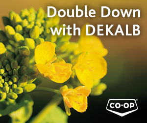 Double Down with Dekalb