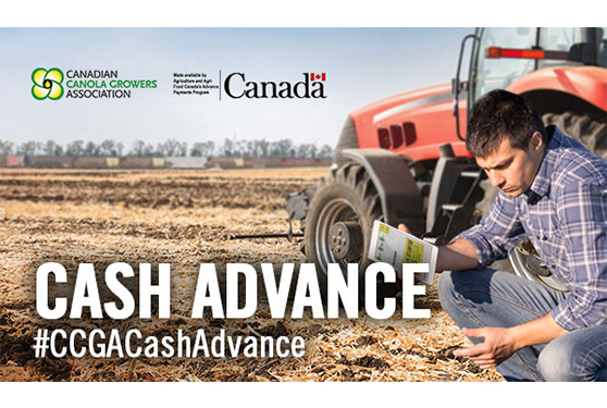 Cash Advance Provides Cash Flow to Cover Spring Expenses